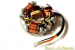 Zündgrundplatte V50 3 Spulen 5 Kabel Außen NEU